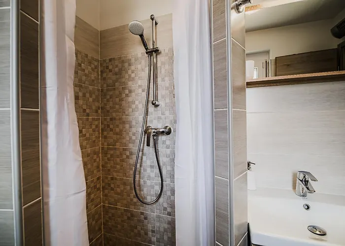 Tinkara With Ir Sauna Catez ob Savi